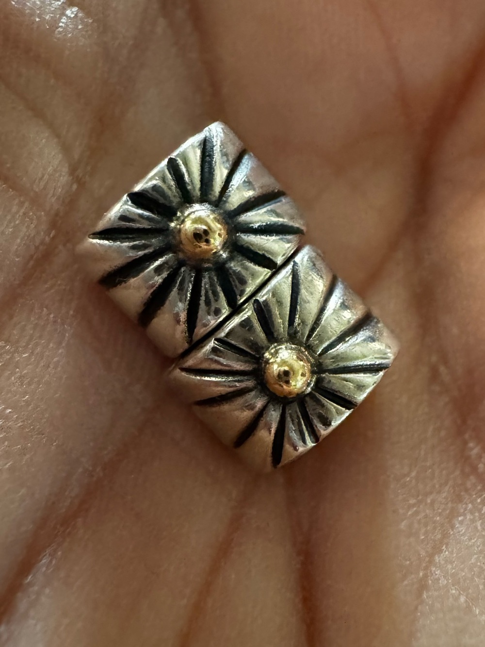 Pandora Two-Tone Starburst
Clips - set of 2
